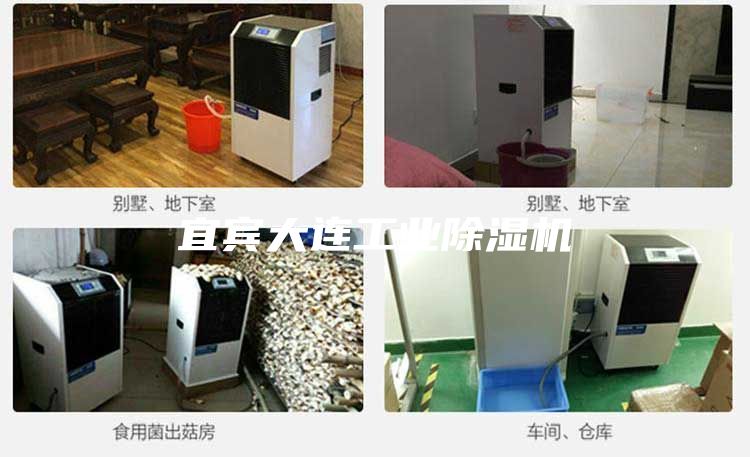 宜賓大連工業(yè)除濕機(jī)