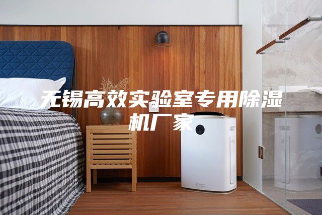 無錫高效實(shí)驗(yàn)室專用除濕機(jī)廠家
