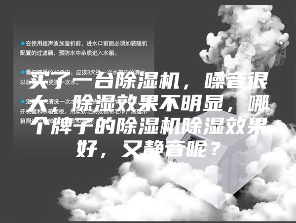 買了一臺除濕機，噪音很大，除濕效果不明顯，哪個牌子的除濕機除濕效果好，又靜音呢？