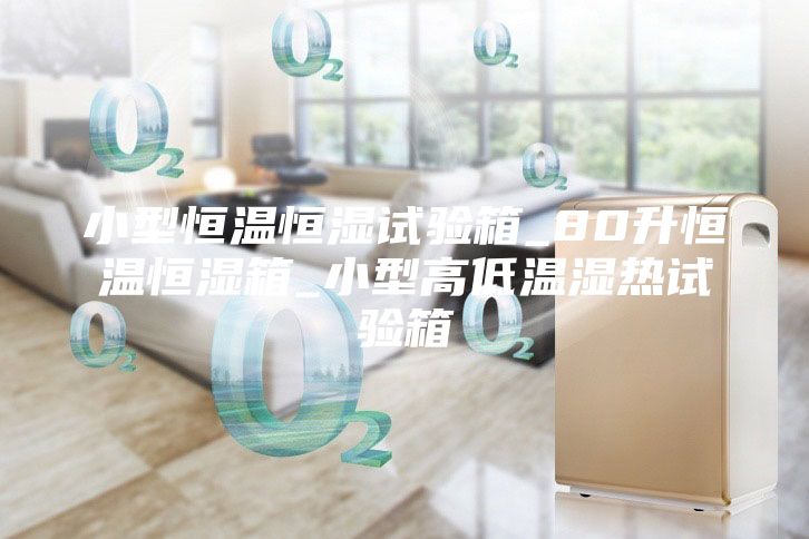 小型恒溫恒濕試驗(yàn)箱_80升恒溫恒濕箱_小型高低溫濕熱試驗(yàn)箱