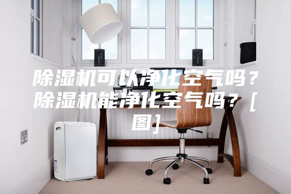 除濕機(jī)可以凈化空氣嗎？除濕機(jī)能凈化空氣嗎？[圖]