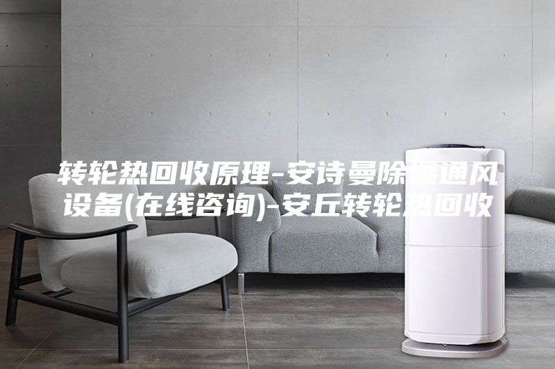 轉(zhuǎn)輪熱回收原理-安詩曼除濕通風(fēng)設(shè)備(在線咨詢)-安丘轉(zhuǎn)輪熱回收