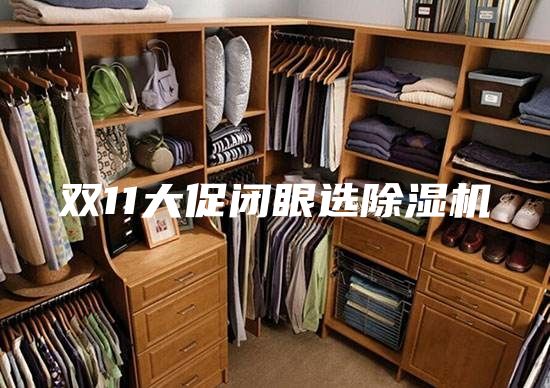 雙11大促閉眼選除濕機(jī)