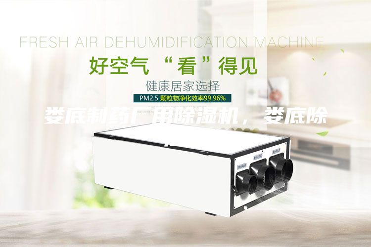 婁底制藥廠(chǎng)用除濕機(jī),婁底除濕機(jī)