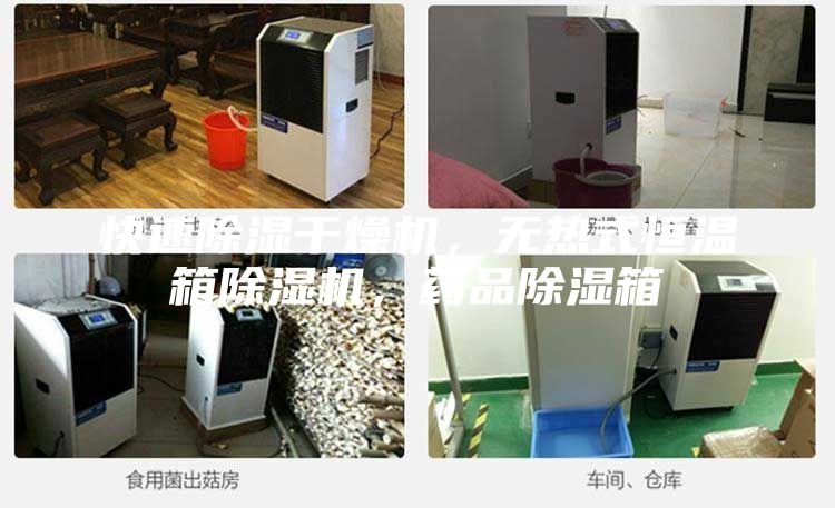 快速除濕干燥機，無熱式恒溫箱除濕機，藥品除濕箱