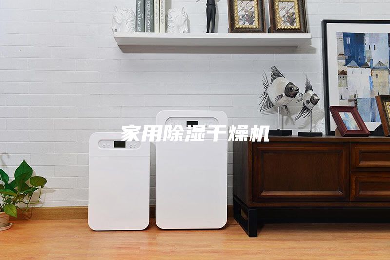家用除濕干燥機