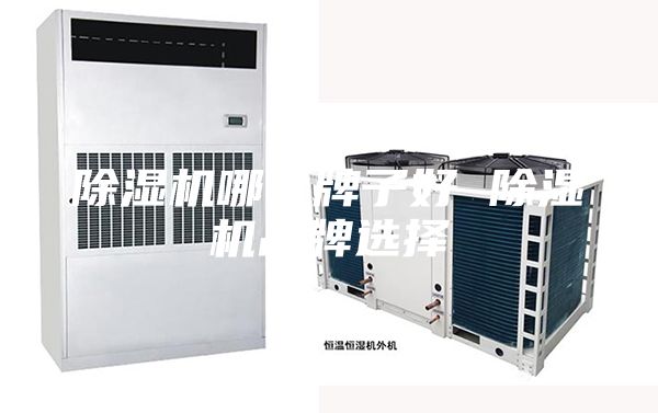 除濕機哪個牌子好 除濕機品牌選擇