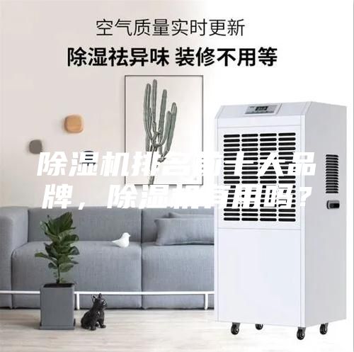 除濕機(jī)排名前十大品牌，除濕機(jī)有用嗎？