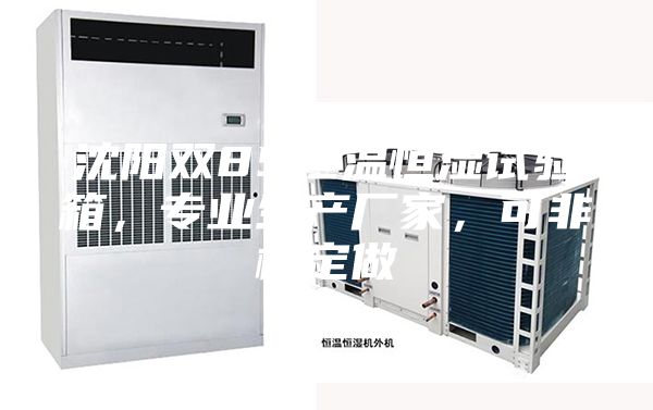 沈陽雙85恒溫恒濕試驗箱，專業(yè)生產(chǎn)廠家，可非標定做