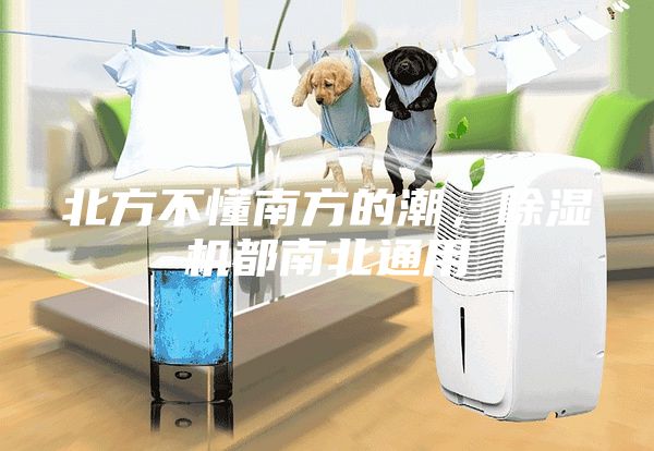 北方不懂南方的潮，除濕機都南北通用