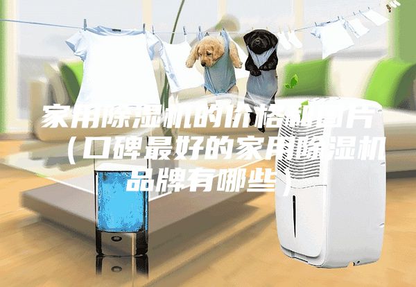 家用除濕機的價格和圖片(口碑最好的家用除濕機品牌有哪些)