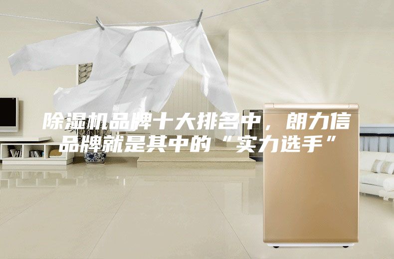 除濕機品牌十大排名中,朗力信品牌就是其中的“實力選手”