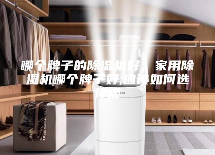 哪個(gè)牌子的除濕機(jī)好，家用除濕機(jī)哪個(gè)牌子好,應(yīng)該如何選擇呢