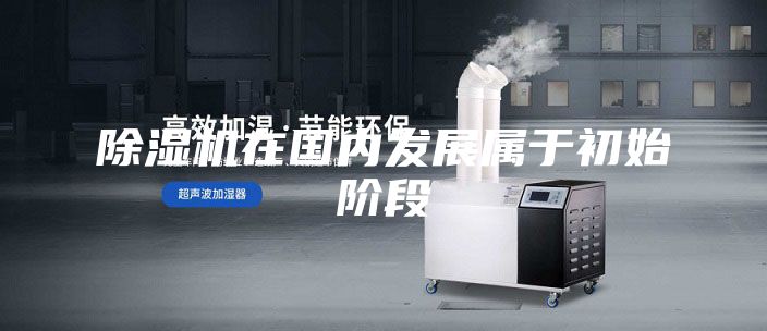 除濕機在國內發展屬于初始階段