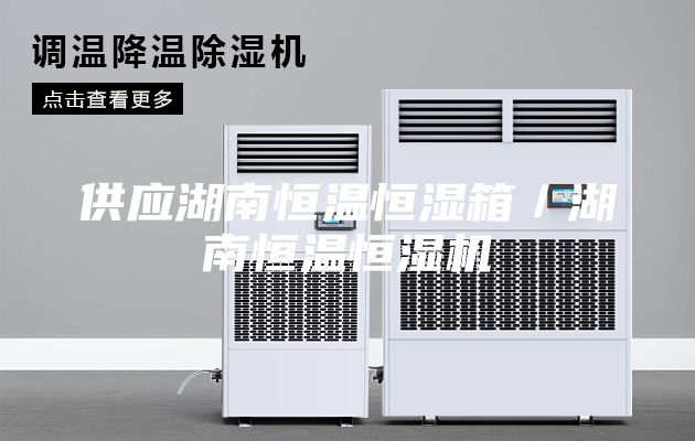 供應(yīng)湖南恒溫恒濕箱／湖南恒溫恒濕機