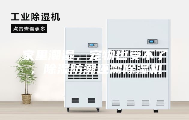 家里潮濕，寵物也受不了，除濕防潮還需除濕機