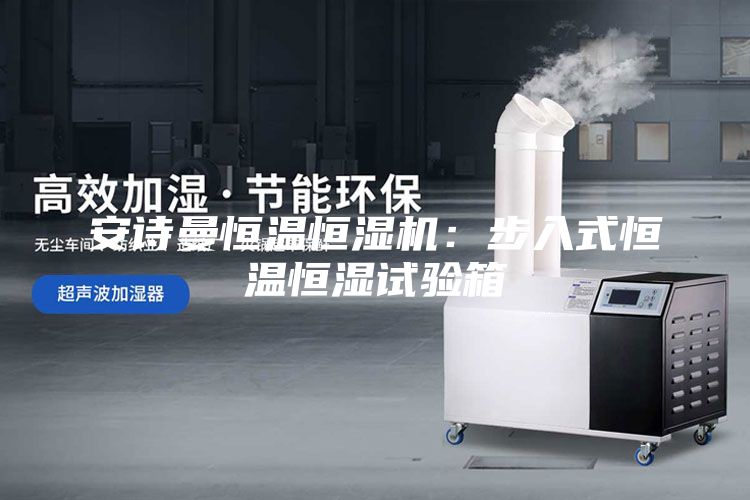 安詩曼恒溫恒濕機(jī)：步入式恒溫恒濕試驗(yàn)箱