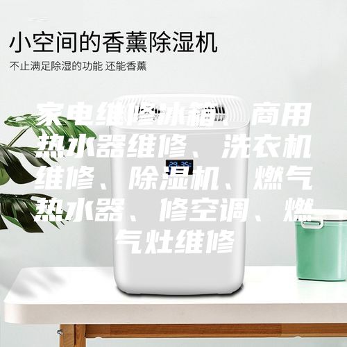 家電維修冰箱、商用熱水器維修、洗衣機(jī)維修、除濕機(jī)、燃?xì)鉄崴鳌⑿蘅照{(diào)、燃?xì)庠罹S修