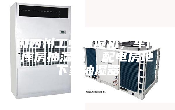 湘西州工業(yè)除濕機(jī)，車間庫(kù)房抽濕機(jī)  配電房地下室抽濕器