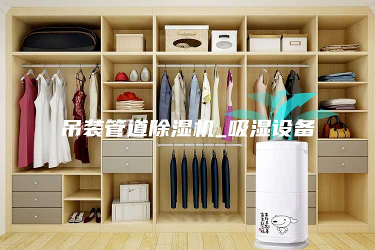 吊裝管道除濕機_吸濕設(shè)備