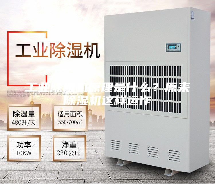 工業(yè)除濕機(jī)原理是什么？原來除濕機(jī)這樣運(yùn)作