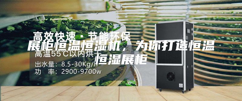 展柜恒溫恒濕機(jī)，為你打造恒溫恒濕展柜