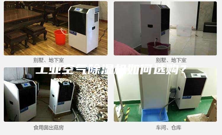 工業空氣除濕機如何選購？