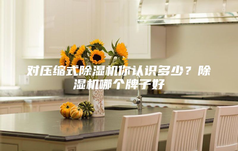 對壓縮式除濕機你認識多少？除濕機哪個牌子好