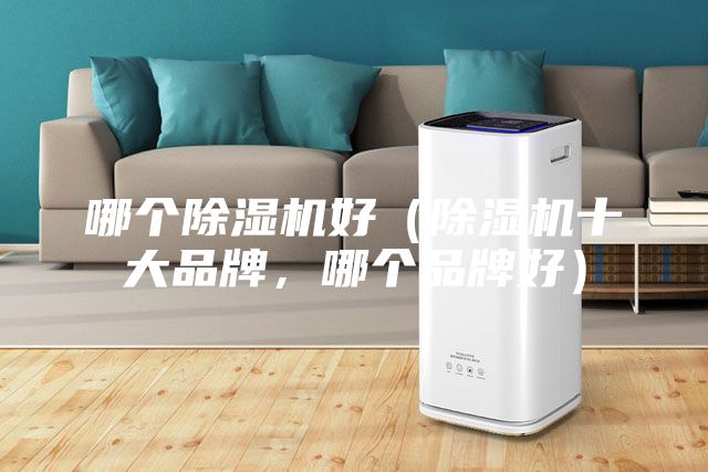 哪個除濕機好(除濕機十大品牌,哪個品牌好)