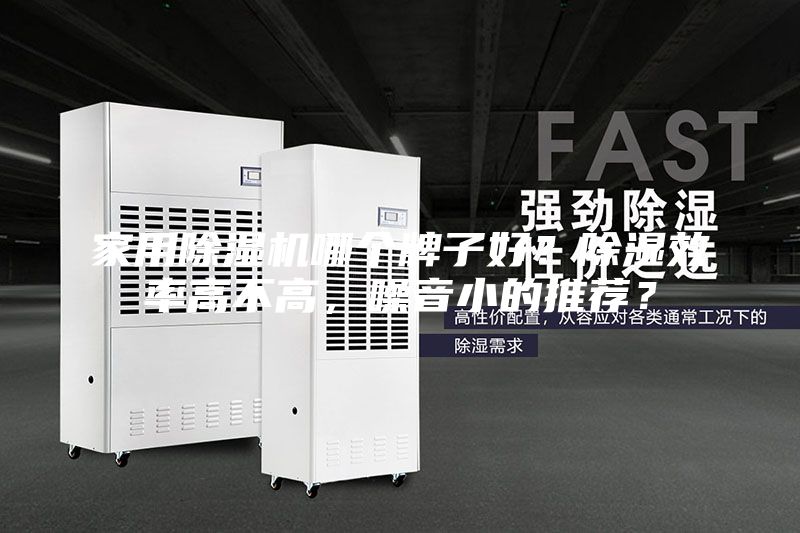 家用除濕機哪個牌子好？除濕效率高不高，噪音小的推薦？