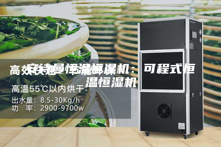 安詩曼恒溫恒濕機:可程式恒溫恒濕機