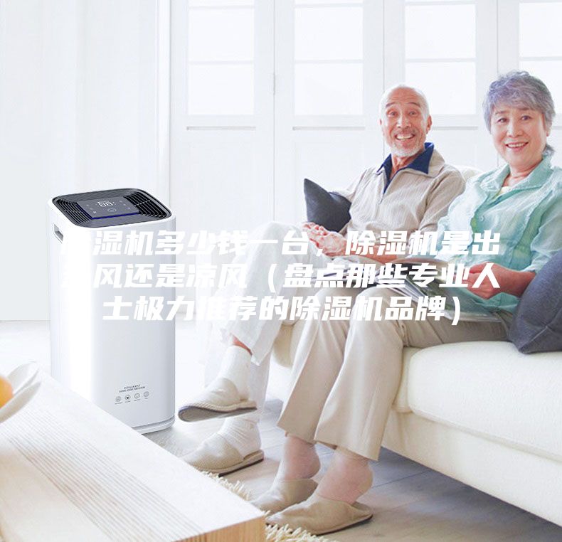 除濕機(jī)多少錢(qián)一臺(tái)，除濕機(jī)是出熱風(fēng)還是涼風(fēng)（盤(pán)點(diǎn)那些專業(yè)人士極力推薦的除濕機(jī)品牌）