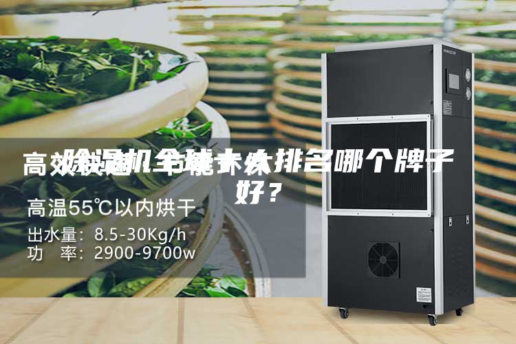 除濕機(jī)全球十大排名哪個(gè)牌子好？