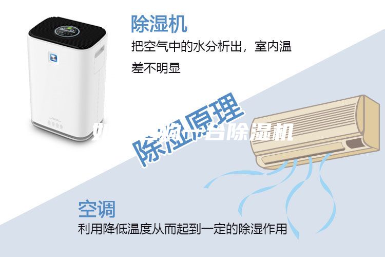如何選購一臺(tái)除濕機(jī)