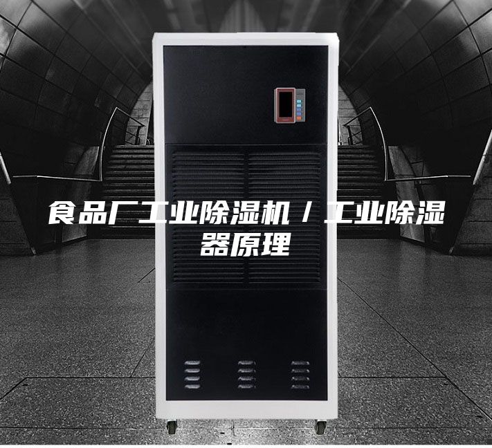 食品廠工業除濕機/工業除濕器原理