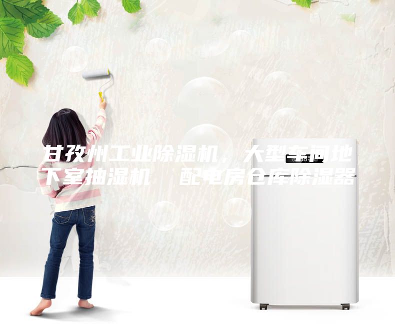 甘孜州工業(yè)除濕機(jī)，大型車間地下室抽濕機(jī)  配電房倉庫除濕器