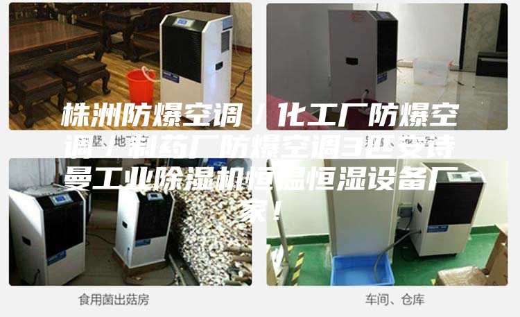 株洲防爆空調(diào)/化工廠防爆空調(diào)/制藥廠防爆空調(diào)3匹安詩曼工業(yè)除濕機恒溫恒濕設(shè)備廠家!