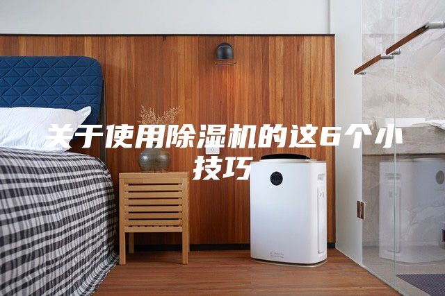 關(guān)于使用除濕機的這6個小技巧