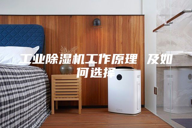 工業除濕機工作原理 及如何選擇