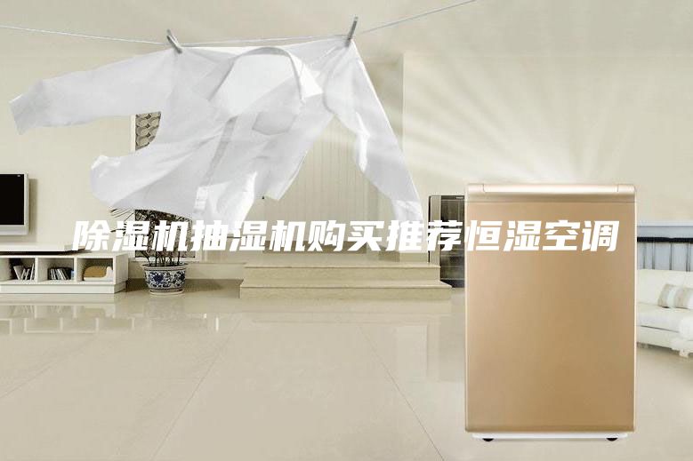 除濕機(jī)抽濕機(jī)購(gòu)買(mǎi)推薦恒濕空調(diào)