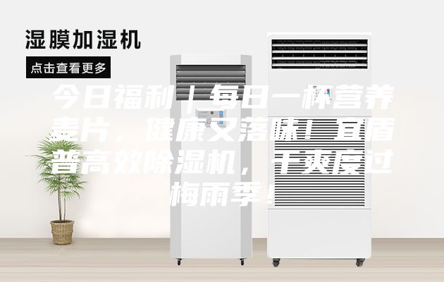 今日福利｜每日一杯營養麥片，健康又落味！宜盾普高效除濕機，干爽度過梅雨季！