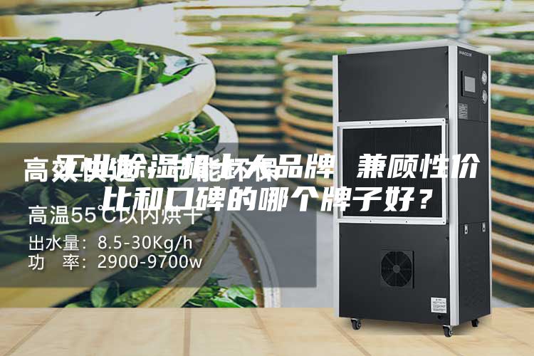 工業(yè)除濕機十大品牌 兼顧性價比和口碑的哪個牌子好?