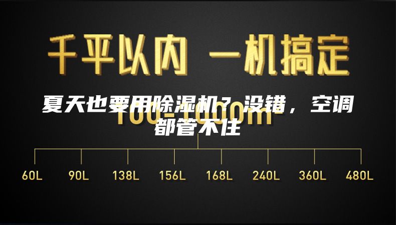 夏天也要用除濕機？沒錯，空調都管不住
