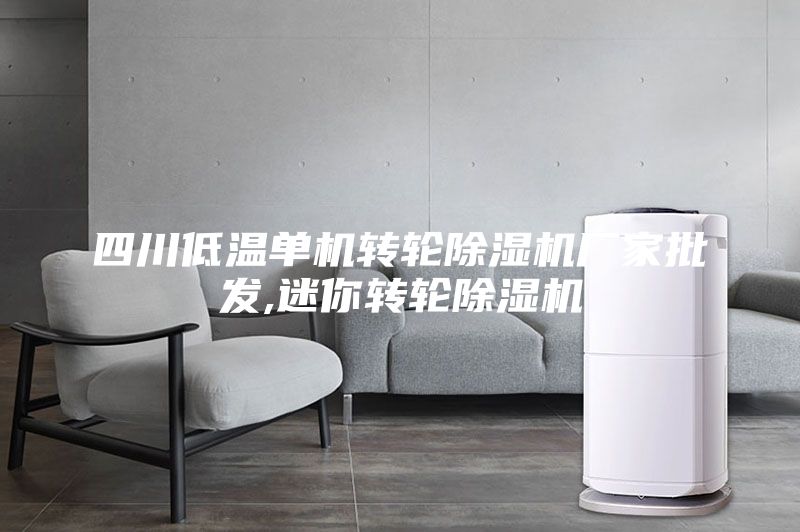 四川低溫單機轉輪除濕機廠家批發(fā),迷你轉輪除濕機