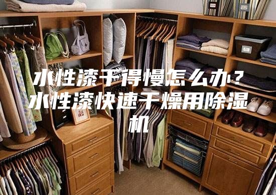 水性漆干得慢怎么辦？水性漆快速干燥用除濕機