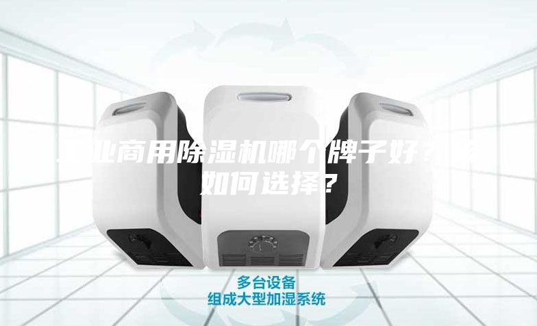 工業商用除濕機哪個牌子好？該如何選擇？