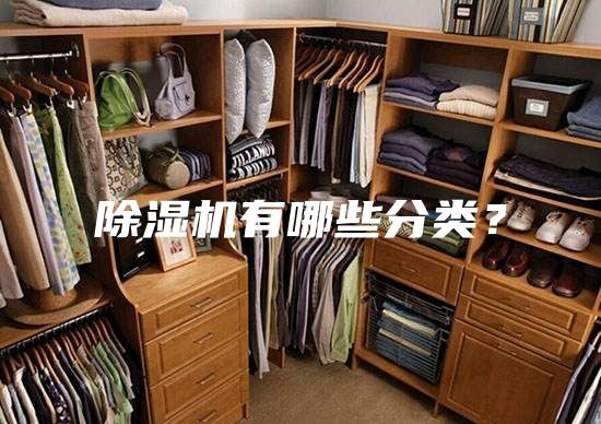 除濕機有哪些分類？