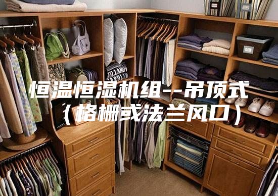 恒溫恒濕機(jī)組--吊頂式(格柵或法蘭風(fēng)口)