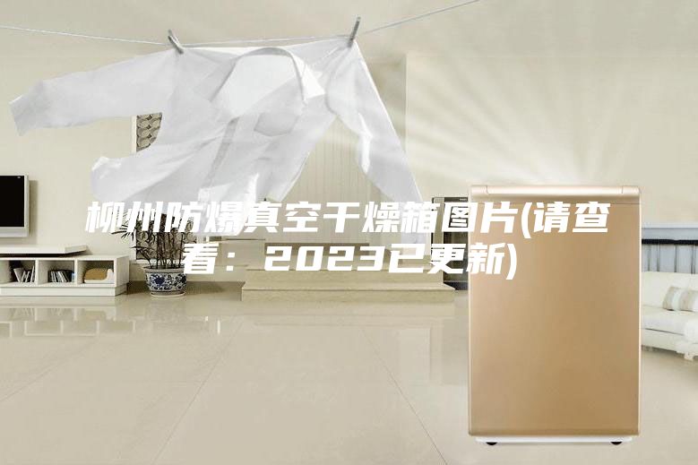 柳州防爆真空干燥箱圖片(請查看:2023已更新)