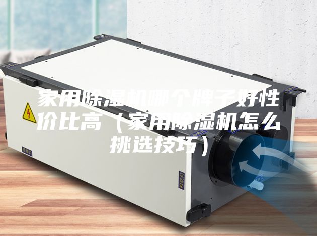 家用除濕機(jī)哪個(gè)牌子好性價(jià)比高（家用除濕機(jī)怎么挑選技巧）